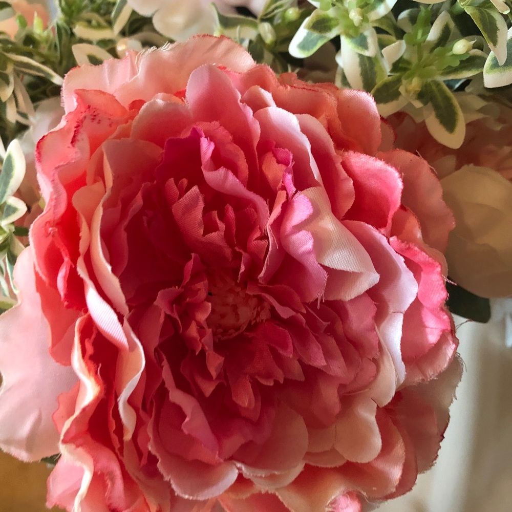 Silk Cabbage Roses - Picture 3 of 8